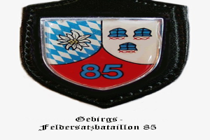 Ein rundes Abzeichen mit der Zahl 85 und deutschem Text unten, das das Logo der bayerischen Fußballmannschaft darstellt.
