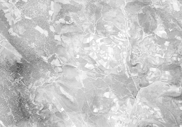 A black and white satellite view of a city, displaying trees and land.