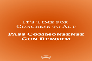 Ein Plakat mit fetter schwarzer Schrift, die 'Es ist an der Zeit, dass der Kongress handelt und den Gemeinsinn im Waffengesetz durchsetzt' auf einem orangen Hintergrund.