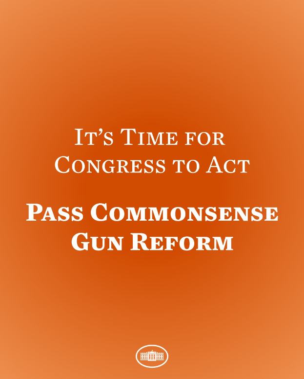 Ein Plakat mit fetter schwarzer Schrift, die 'Es ist an der Zeit, dass der Kongress handelt und den Gemeinsinn im Waffengesetz durchsetzt' auf einem orangen Hintergrund.