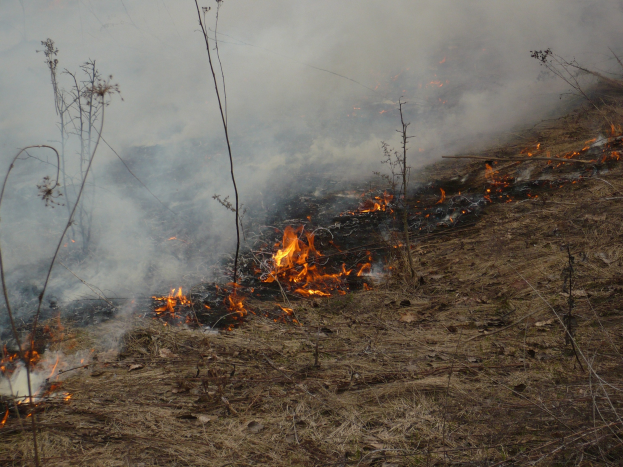 Ein kontrollierter Brand brennt in einem Grasfeld, mit aufsteigendem Rauch.