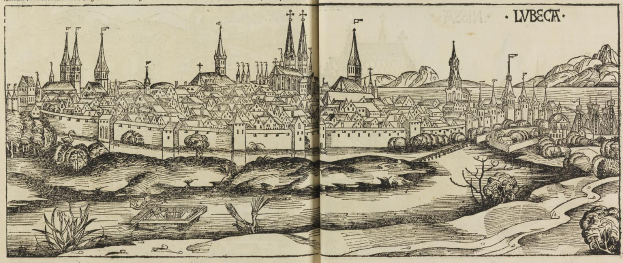 Offenes Buch mit einer detaillierten Illustration aus dem 16. Jahrhundert von Lviv, Ukraine, das Gebäude, Bäume, Pflanzen, Wasser und Text auf den Seiten zeigt.