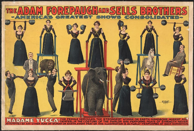 Plakat für Adam Forepaugh und Sells Brothers Circus mit Performern auf Hockern und einem zentralen Elefanten sowie Werbetext.