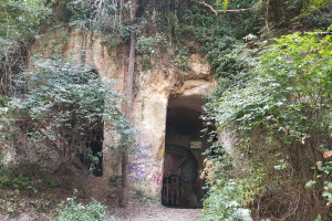 Ein Tunnel im Wald mit Graffiti, umgeben von Bäumen und Pflanzen, mit einer Straße, die zu seinem Eingang führt.