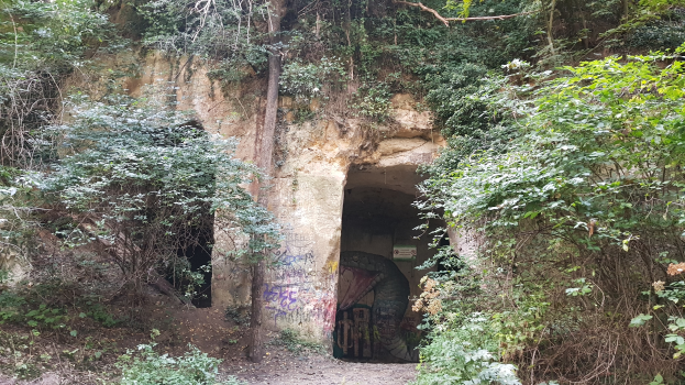 Ein Tunnel im Wald mit Graffiti, umgeben von Bäumen und Pflanzen, mit einer Straße, die zu seinem Eingang führt.