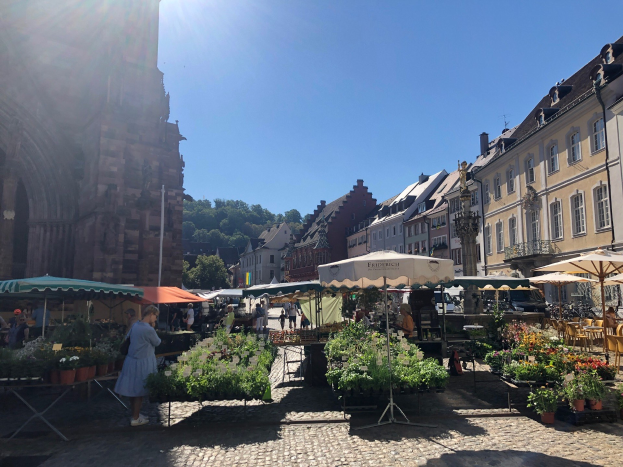 Markenvielfalt 2026        Krefelder Rennbahn: The Most Beautiful Backdrop for the "Markenvielfalt"