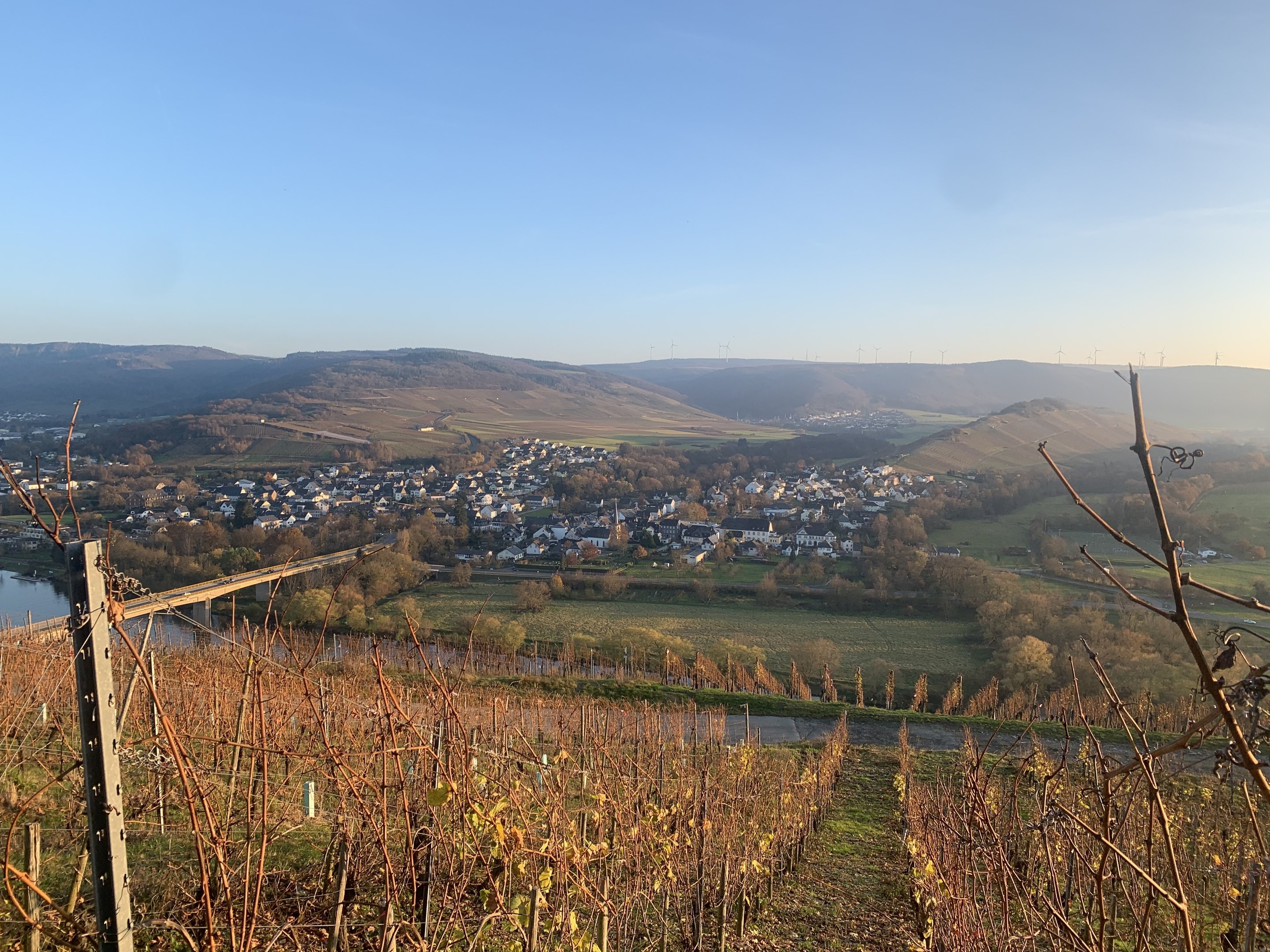 Eine malerische Aussicht auf das Rheintal von einem Hügel aus, mit grünen Blättern, Häusern und einer Brücke, die den Fluss überspannt, vor einem blauen Himmel und welligen Hügeln.