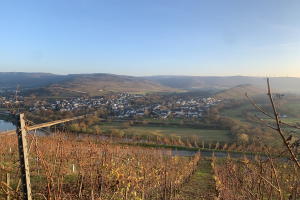 Eine malerische Aussicht auf das Rheintal von einem Hügel aus, mit grünen Blättern, Häusern und einer Brücke, die den Fluss überspannt, vor einem blauen Himmel und welligen Hügeln.
