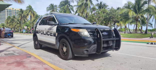 Ein Polizeiwagen am Straßenrand geparkt mit Menschen, Fahrrädern, Gras, Bäumen, Gebäuden und einem klaren blauen Himmel im Hintergrund.