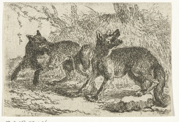 Schwarzes und weißes Zeichnung von zwei Wölfen, die in einem bewaldeten Gebiet mit Bäumen stehen, begleitet von Text unten.