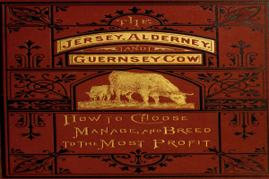 Ein Buch mit dem Titel 'Die Jersey-, Alderney- und Guernsey-Kuh: Wie man auswählt, verwaltet und züchtet, um den größten Gewinn zu erzielen' mit einem Kuhbild auf dem Cover.