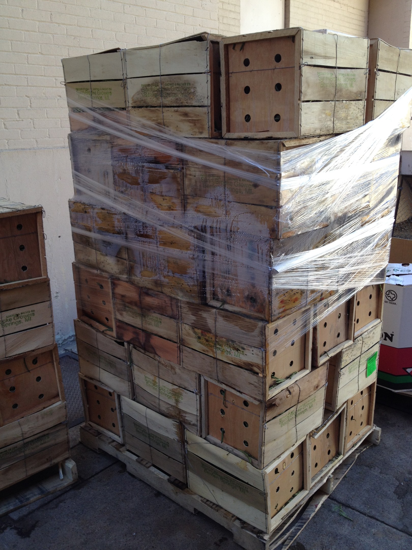 HPE präsentiert Hilfestellung zur Umsetzung von PPWR für Holzverpackungsunternehmen