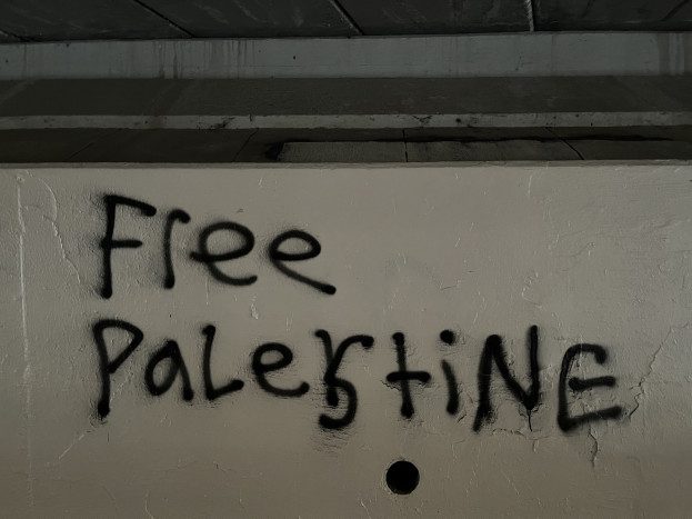 Schwarze Graffiti-Schriftzug 'free palestine' an einer Wand, beleuchtet von einer Lampe oben.